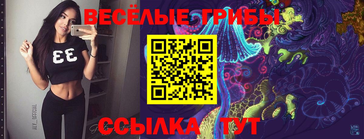 Минеральные Воды  Псилоцибиновые грибы Magic Shrooms  Вход с VPN  Галлюциногенные грибы прущие грибы 