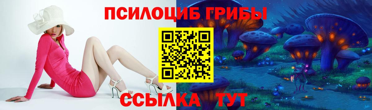 Галлюциногенные грибы Cubensis Минеральные Воды